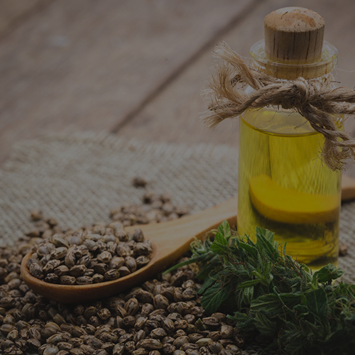aceite ricino